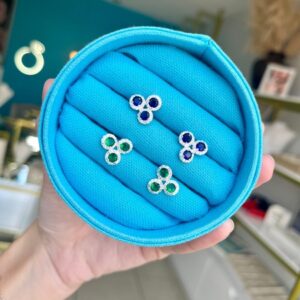 Brinco Delicado Cravejado