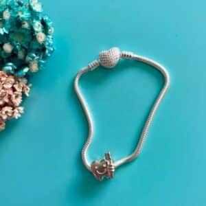 Separador Dente e Escova